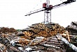 На повестке дня – актуальные вопросы лесной отрасли На повестке дня – актуальные вопросы лесной отрасли